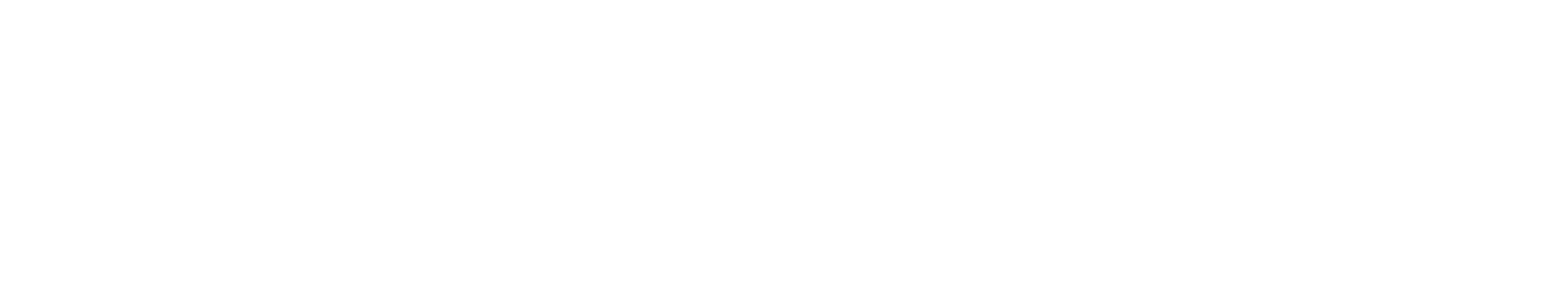 Euroregnskab hvid logo